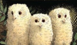 lexi在线观看,揭秘热门剧集背后的精彩故事