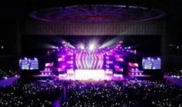 新闻爆料演唱会粉丝,共襄盛举打造难忘之夜