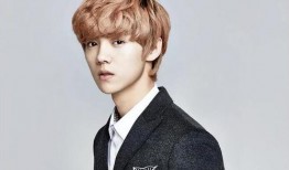 鹿晗漫画爆料最新版本下载,揭秘偶像背后的故事与情感纠葛